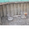 Nanjing Dashengguan project